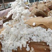 Trained Manpower A Constraint In Luxury Product Market