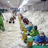 China Textile Industry