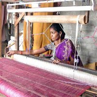 Warning Against Producing Notified Handloom Items