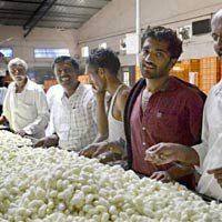 Cocoon Banks To Be Set Up In Karnataka
