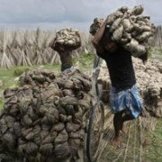 Government Invites Entries For Handloom Awards