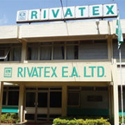 Curbs On Cotton Yarn Exports Sought