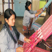 Irani Seeks Views to Boost Wool Exports