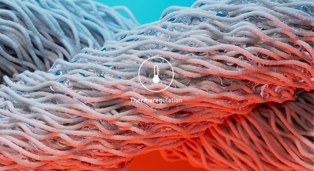 Merino Wool Shown to Boost Athletes Thermoregulation, New Research Finds