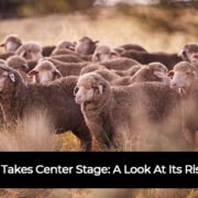 SNITCH Shines A Light On The Unspoken Compliments Men Never Receive: ‘Just Say It’