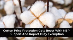 Cotton Price Protection Gets Boost With MSP Support And Import Duty Exemption