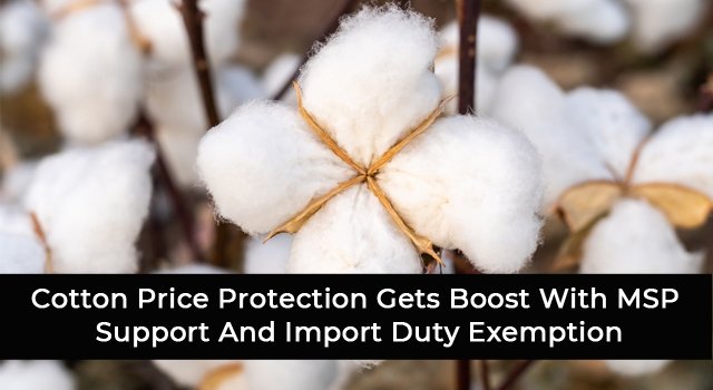 Cotton Price Protection Gets Boost With MSP Support And Import Duty Exemption