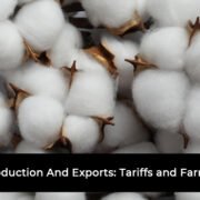 Textile Sector Gains Momentum Through Government Support And Export Focus