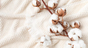 Environmentally Sustainable Production