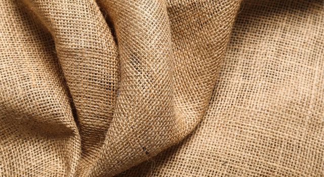 Jute Value Chain Boosted In North Eastern Region