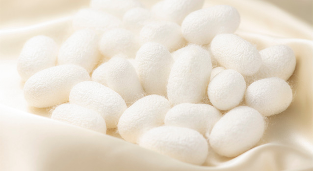 Silk Samagra-2 Scheme Implementation