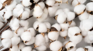 Cotton Prices Fall After India Suspends
