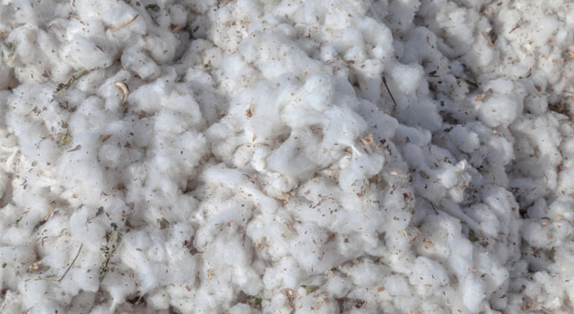 Customs Duty Exemption On Cotton Imports