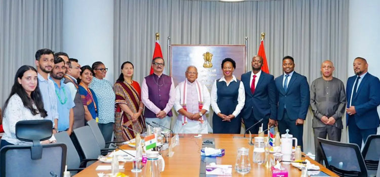 India-South Africa MSME Cooperation Meeting Held In New Delhi